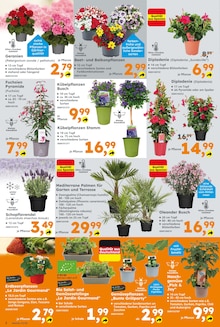 Aktueller Globus-Baumarkt Prospekt "Immer eine Idee besser" Aktueller Globus-Baumarkt Prospekt
