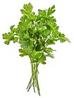 Mini Roma Rispentomaten im Angebot bei REWE in Siegburg Mini Roma Rispentomaten Angebote von REWE Regional bei REWE Siegburg für 1,79 €