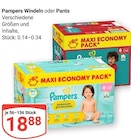Windeln im Angebot bei GLOBUS in Plauen Windeln Angebote von Pampers bei GLOBUS Plauen für 18,88 €