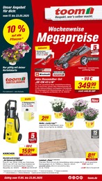 Aktueller toom Baumarkt Prospekt (Altheim) toom Baumarkt Prospekt mit 24 Seiten (Altheim)