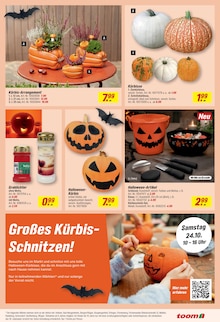 Pflanzen im toom Baumarkt Prospekt "Respekt, wer's selber macht." mit 26 Seiten (Bremen)