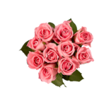 Vos bouquets préférés dans le catalogue Lidl