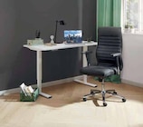 Aktuelles E-Schreibtisch EFLEX Angebot bei Zurbrüggen in Hamm ab 299,00 €