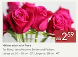 Rose von  im aktuellen Pflanzen Kölle Prospekt für 2,59 €
