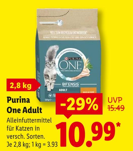 One Adult