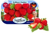 Erdbeeren Angebote von SanLucar bei REWE Schorndorf für 2,99 €