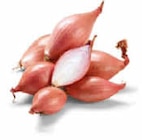 Schalotten im Angebot bei Netto Marken-Discount in Homburg Schalotten Angebote von Heimat bei Netto Marken-Discount Homburg