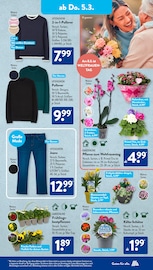 Aktueller ALDI SÜD Prospekt mit Orchidee, "Gutes für Alle.", Seite 19