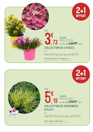Offre Collection dans le catalogue Botanic du moment à la page 3