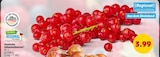 Deutsche Johannisbeeren im Angebot bei Penny in Solingen Deutsche Johannisbeeren Angebote von Marktliebe bei Penny Solingen für 3,99 €