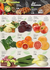 Aktueller EDEKA Prospekt mit Pflanzen, "Top Angebote", Seite 2