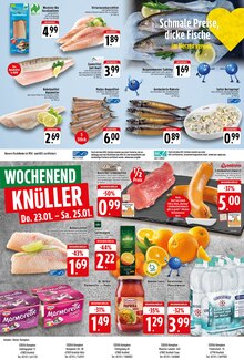 Schweinefilet im EDEKA Prospekt "Aktuelle Angebote" mit 8 Seiten (Krefeld)