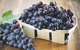 Raisin noir à Intermarché dans We
