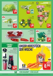 Aktueller Marktkauf Prospekt mit Tulpen, "AUSWAHL RIESIG, PREISE NIEDRIG", Seite 7
