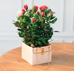 Rosier en promo chez Super U Besançon à 4,99 €