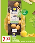 Ackergold Spargel Frühkartoffeln Angebote von EDEKA Herzstücke bei Marktkauf Arnsberg für 2,22 €