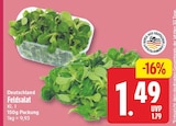 Feldsalat für 1,49 € bei EDEKA im Angebot Feldsalat im aktuellen EDEKA Prospekt