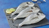 Dorade Royale - Super U à Champigny-sur-Marne Dorade Royale en promo chez Super U Champigny-sur-Marne à 3,50 €