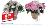 Blumenarrangement Angebot in Heiligenstadt Blumenarrangement im aktuellen Prospekt bei bauSpezi in Heiligenstadt