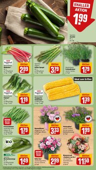 Pflanzen im REWE Prospekt "Dein Markt" mit 28 Seiten (Krefeld)