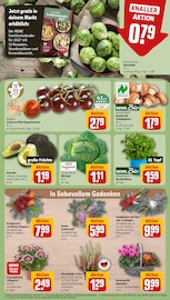 Kalender im REWE Prospekt in Brühl Aktueller REWE Prospekt mit Kalender, "Dein Markt", Seite 13