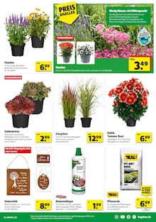 Gartenerde im aktuellen Hagebaumarkt Prospekt (Moers) Gartenerde im Hagebaumarkt Prospekt "SCHNAPP DIR DEIN SUPERBUNDLE" mit 16 Seiten (Moers)