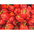 Poivron rouge ou vert dans le catalogue Carrefour