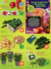 Aktueller tegut Prospekt mit Tomaten, "tegut… gute Lebensmittel", Seite 4