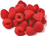 Himbeeren von GO Regio für 2,19 € bei Netto mit dem Scottie im Angebot Himbeeren von GO Regio im aktuellen Netto mit dem Scottie Prospekt