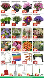 Aktueller Wreesmann Prospekt mit Gartenmöbel, "DEIN SAISON- & SONDERPOSTENMARKT!", Seite 3