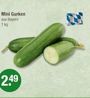 Mini Gurken im V-Markt Prospekt Mini Gurken von im aktuellen V-Markt Prospekt für 2,49 €