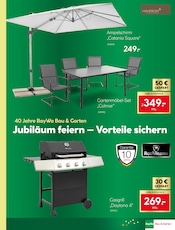 Aktueller BayWa Bau- und Gartenmärkte Prospekt mit Sonnenschirm, "Wir feiern, Sie sparen!", Seite 3