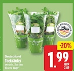 teekräuter für 1,99 € bei EDEKA im Angebot teekräuter im aktuellen EDEKA Prospekt