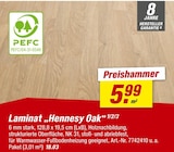 Aktuelle Laminat Angebote bei toom Baumarkt in Pforzheim Aktuelles Laminat „Hennessy Oak“ Angebot bei toom Baumarkt in Pforzheim ab 5,99 €
