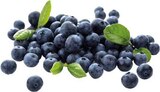 Bio Heidelbeeren bei EDEKA im Warendorf Prospekt für 1,99 €