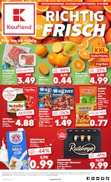 Supermarkt Prospekt von Kaufland Weihenzell Kaufland Prospekt: "Aktuelle Angebote", 62 Seiten, 13.11.2025 - 19.11.2025