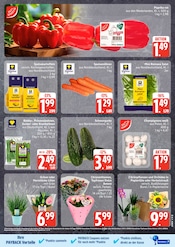 Ähnliche Zitronenbaum Angebote im Prospekt "Top Angebote" von EDEKA in Norderstedt Ähnliche Angebote wie Zitronenbaum im Prospekt "Top Angebote" auf Seite 5 von EDEKA in Norderstedt