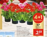 Hellweg Schwielowsee Prospekt mit  im Angebot für 11,16 €