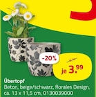 Übertopf von  im aktuellen ROLLER Prospekt für 3,99 €