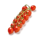 Mini-Pflaumenrispen-Tomaten im aktuellen Netto mit dem Scottie Prospekt