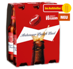 Aktuelle Bier Angebote bei Penny in Soest Aktuelles Bud Angebot bei Penny in Soest ab 3,99 €