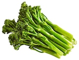 Stangen-Broccoli Bimi im Angebot bei REWE in Rostock Stangen-Broccoli Bimi Angebote bei REWE Rostock für 1,99 €