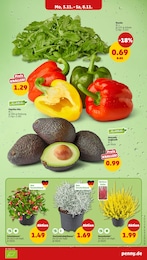 Paprika Angebot & Preis im aktuellen Penny Prospekt Paprika Angebot im aktuellen Penny Prospekt auf Seite 5