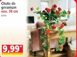 Chute de géranium en promo chez Norma Strasbourg à 9,99 €