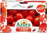 Aktuelles Miniromatotaten Angebot bei Kaufland in Herne ab 0,99 €