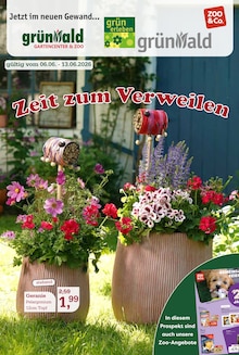 Geranien im aktuellen Garten-Center Nordharz GmbH & Co. KG Prospekt (Hildesheim) Geranien im Garten-Center Nordharz GmbH & Co. KG Prospekt "Zeit zum Verweilen" mit 16 Seiten (Hildesheim)