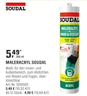 MALERACRYL von SOUDAL im aktuellen OBI Prospekt für 4,99 €