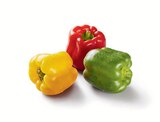Aktuelles Paprika Mix Angebot bei Lidl in Hildesheim ab 1,99 €