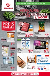Aktueller Selgros Supermarkt Prospekt in Stein und Umgebung, "cash & carry" mit 32 Seiten, 18.04.2024 - 24.04.2024