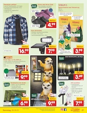 Solar-LED-Lampen im Netto Marken-Discount Prospekt in Karlsruhe Aktueller Netto Marken-Discount Prospekt mit Solar-LED-Lampen, "Aktuelle Angebote", Seite 37